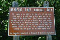 Brandford, NH - Pines Natural Area